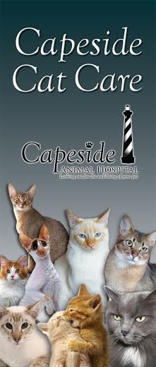 Capeside Animal Hospital