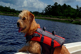 Carolina Beach Pontoon Rental