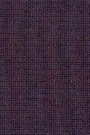 Sherpa - Purple Velvet