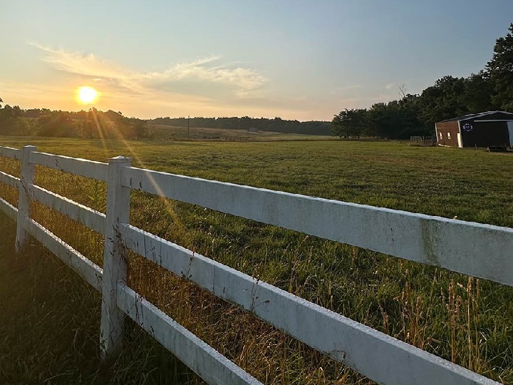 Our Farm