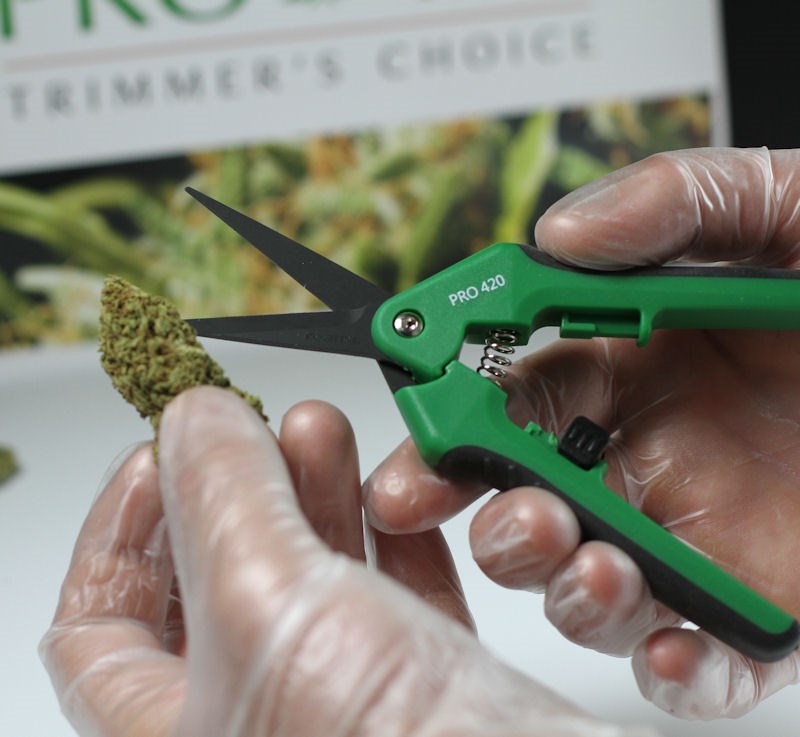 PRO 420 Scissors- Spring Loaded- Professional Manicure Scissors for Cannabis