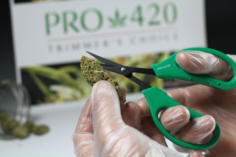 PRO 420 Classic Scissors-Professional grade scissors for trimming plants-Bud Trimming Bonsai Scissors - The finest precision trimming experience.