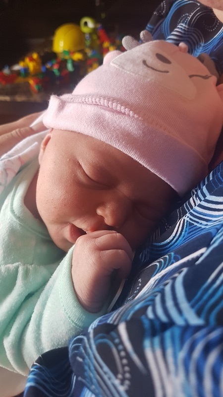 Robert and Denise Nelson