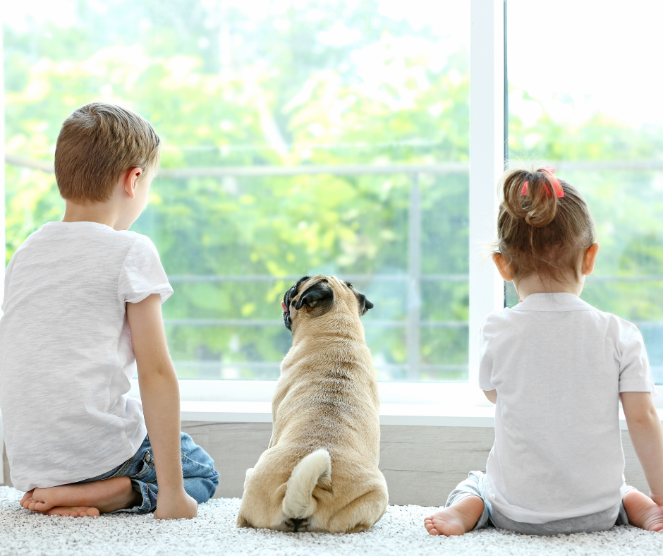 Children sitting on the floor