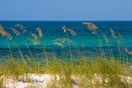 sea oats