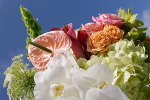 Kiana__Bradys_Wedding_Weekend_Wrightsville_Manor_NC_Wedding_Photographers_0523.jpg