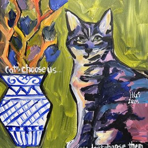 Cat chooses us 